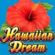 HAWAIIAN DREAM　ハワイアンドリーム