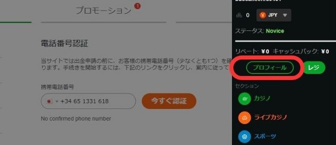 カジノエックス　casino X profile