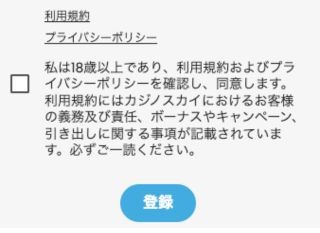 スカイカジノ 利用規約同意画面