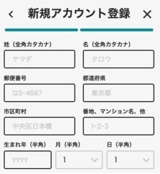 カジノスカイ 情報入力画面