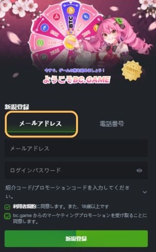 BC game 登録画面 メール
